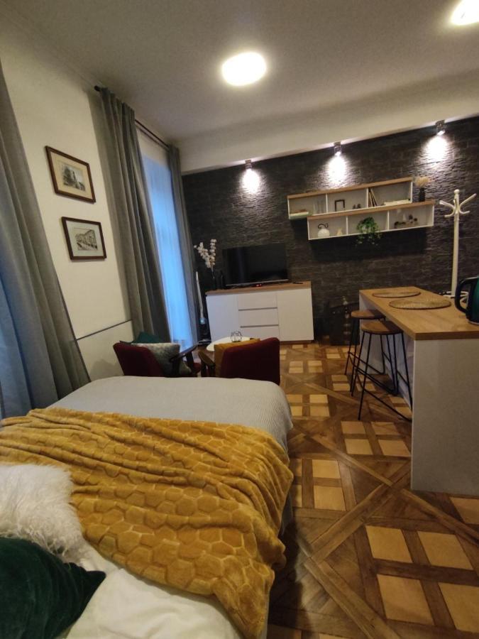 Apartament Lapacz Snow 프르제미슬 외부 사진